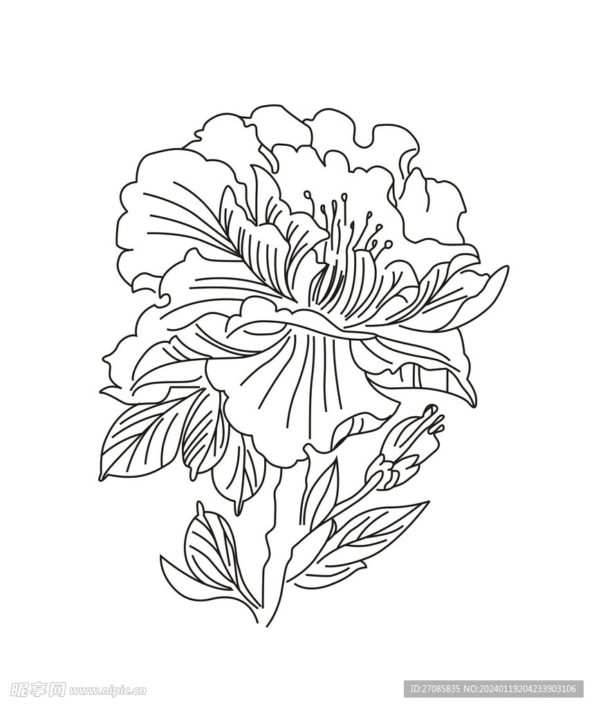 花蕊