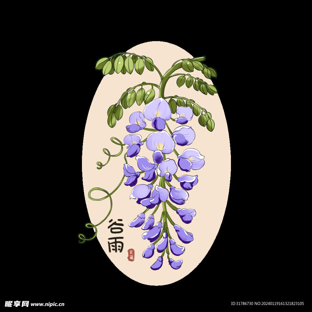24节气紫藤花