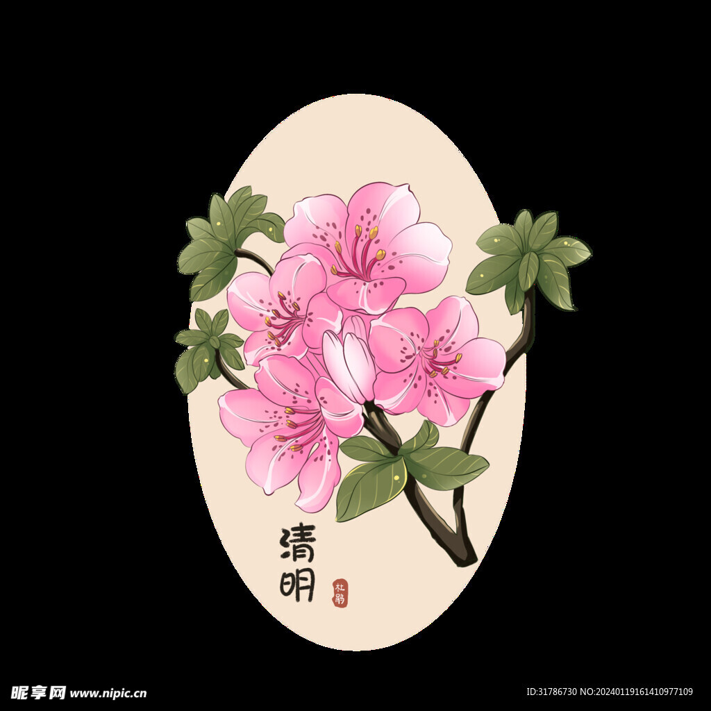 24节气杜鹃花