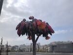 棒叶落地生根