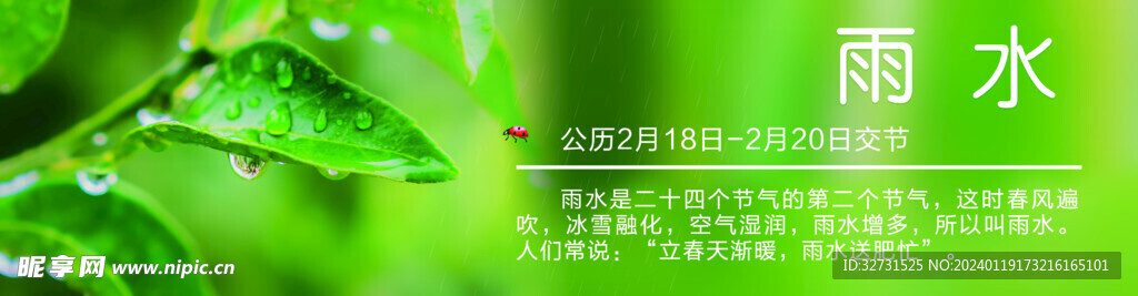 雨水