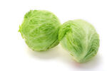 生菜