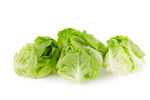 生菜