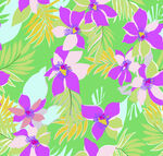 大牌花 