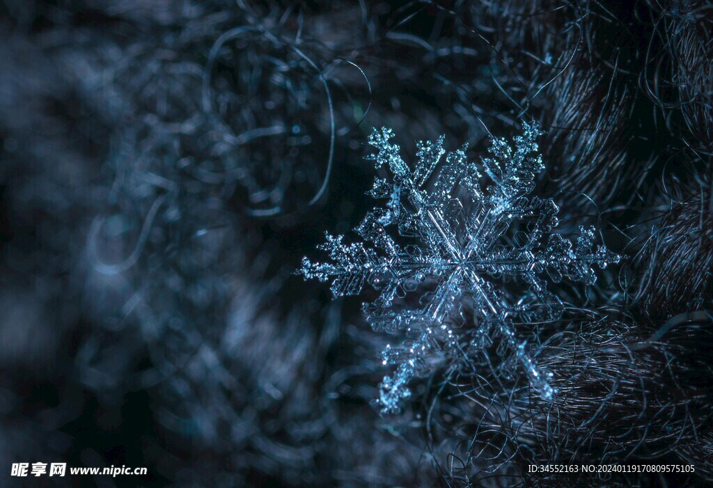 雪花特写