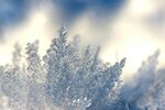 雪景