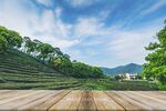 茶山图片