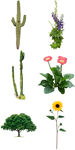 绿植花卉