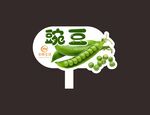豌豆标签
