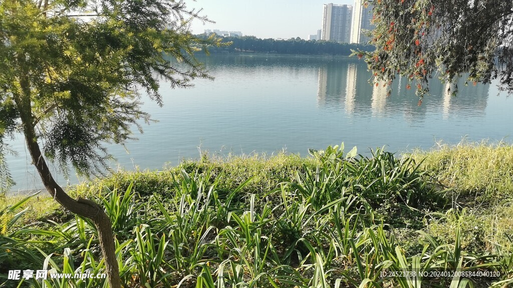 江边景