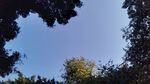 江边天空景