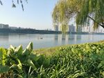 江 边景