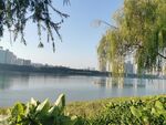 加 边景
