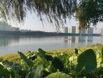 江边景