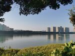 河边景