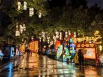 白鹭洲公园夜景花灯