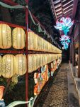 白鹭洲公园夜景花灯