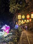 白鹭洲公园夜景花灯