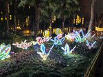 白鹭洲公园夜景花灯
