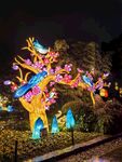 白鹭洲公园夜景花灯