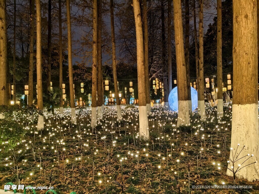 白鹭洲公园夜景花灯