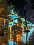 白鹭洲公园夜景花灯