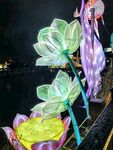 白鹭洲公园夜景花灯