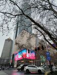 南京街景