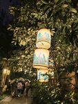 白鹭洲公园夜景花灯