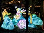 白鹭洲公园夜景灯展