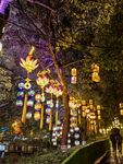 白鹭洲公园夜景灯展