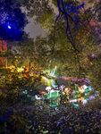 白鹭洲公园夜景花灯