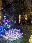 白鹭洲公园夜景灯展