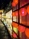 白鹭洲公园夜景花灯