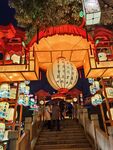 白鹭洲公园夜景花灯
