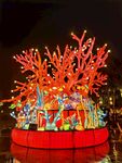 白鹭洲公园夜景花灯