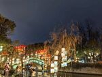 白鹭洲公园夜景花灯