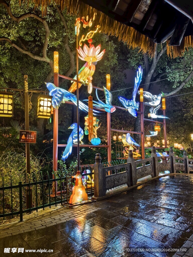 白鹭洲公园夜景花灯