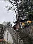 鸡鸣寺