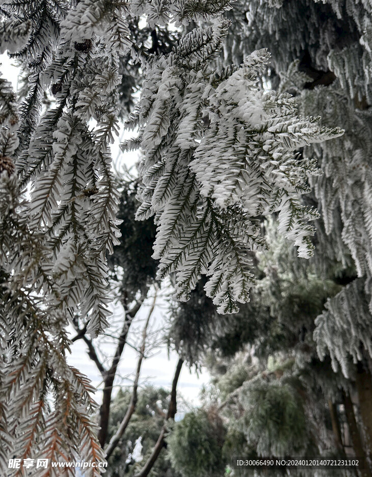 雪山