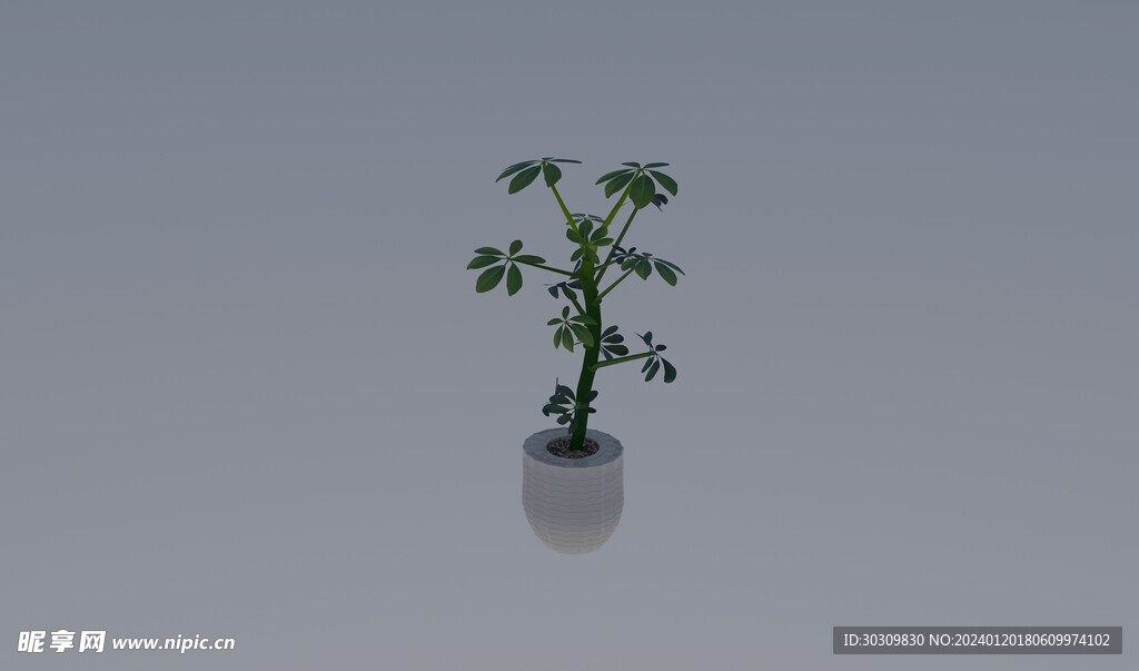 3D家居植物模型