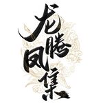 龙腾凤集