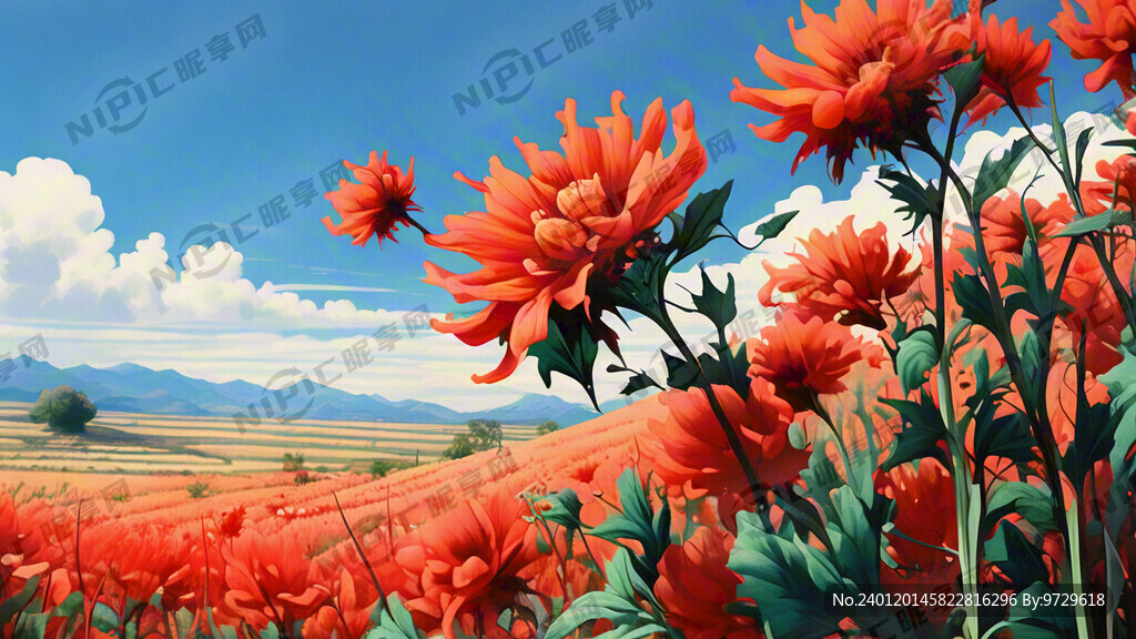 红花籽田 近处几朵大的红花