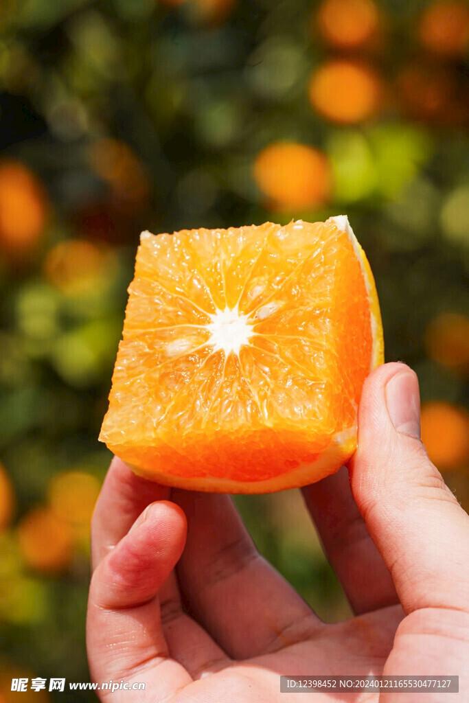 柑橘