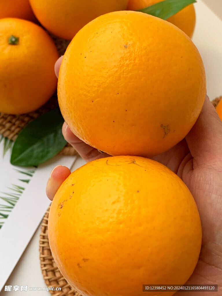柑橘