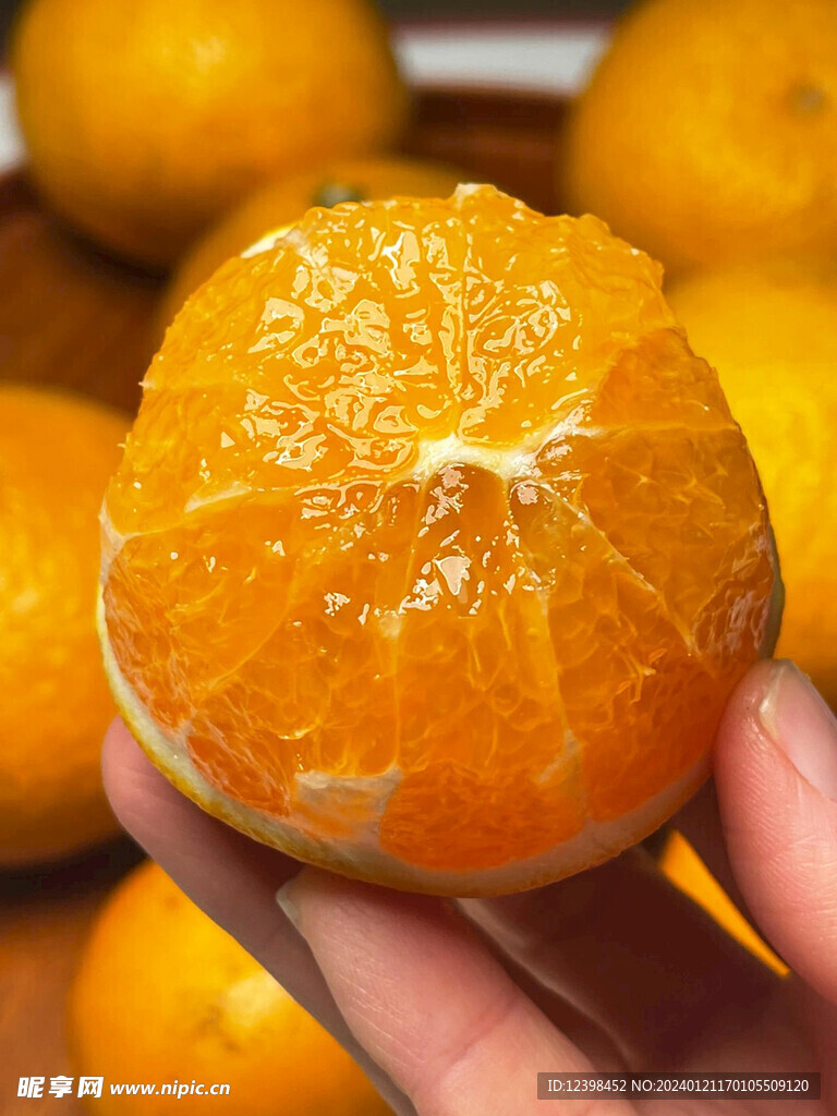 红香橙摄影美图