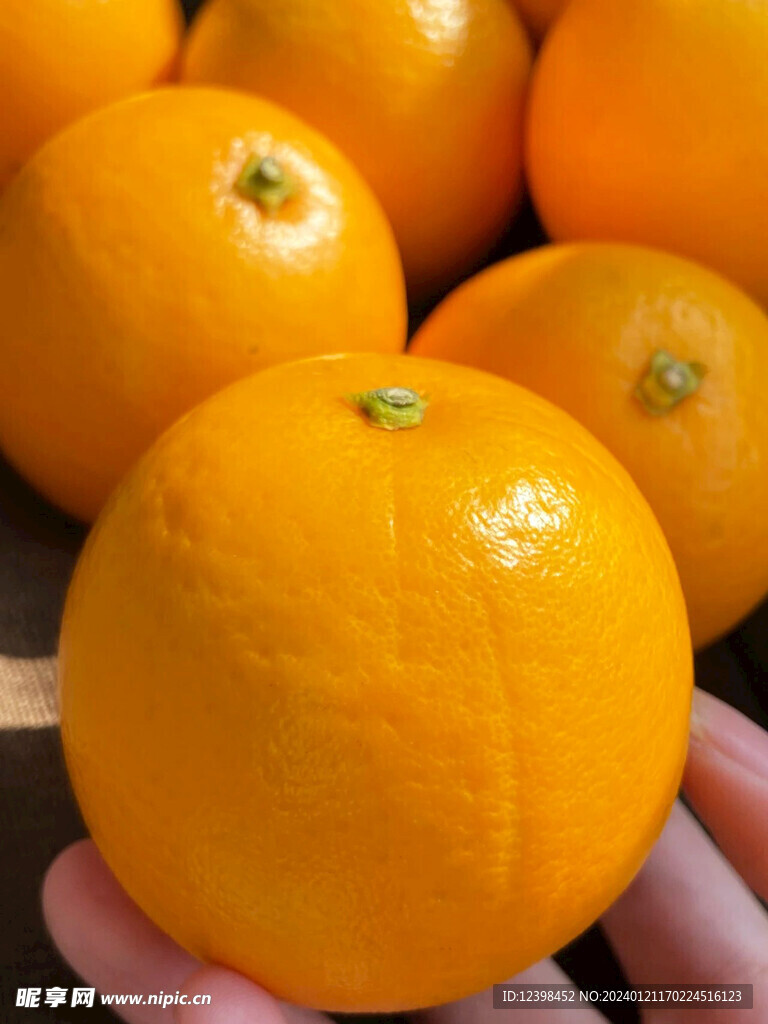 橙子