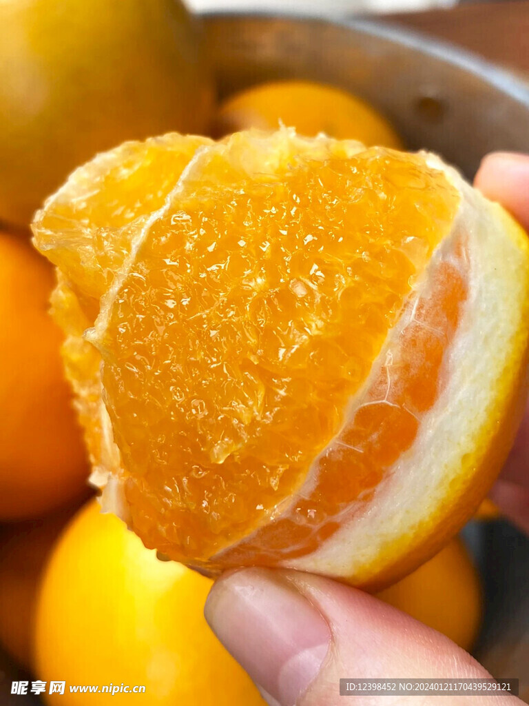 脐橙