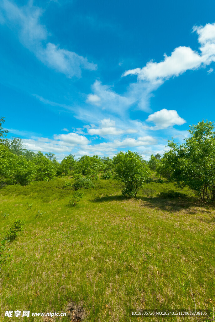 蓝天白云绿草地背景