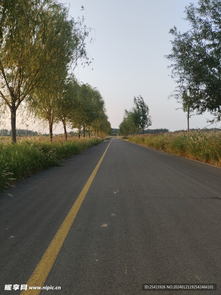 公路